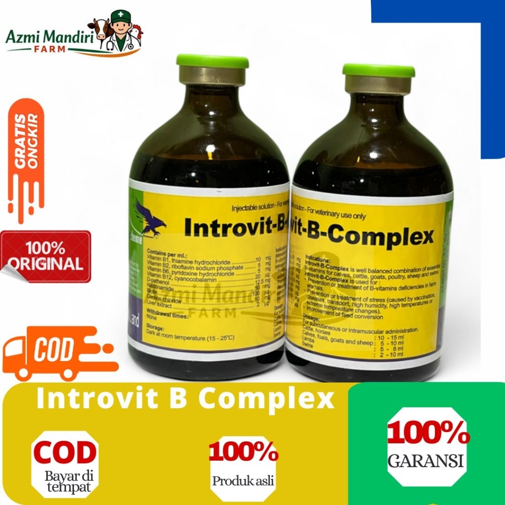 Introvit B Complex 100 ml - Injeksi Vitamin B Kompleks Untuk Hewan Ternak
