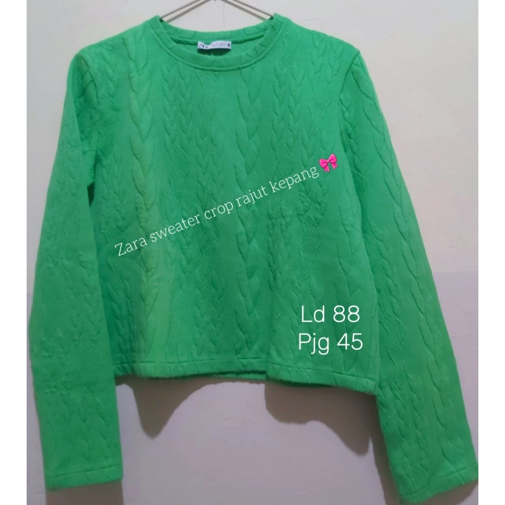 Preloved Zara crop sweater knit