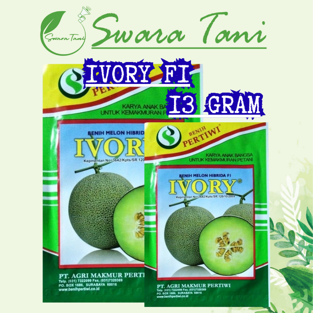 Benih Melon New Ivory Tahan Penyakit & Tahan Simpan Asli PERTIWI