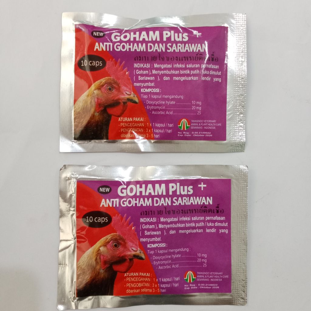 Obat goham kapsul sariawan ayam