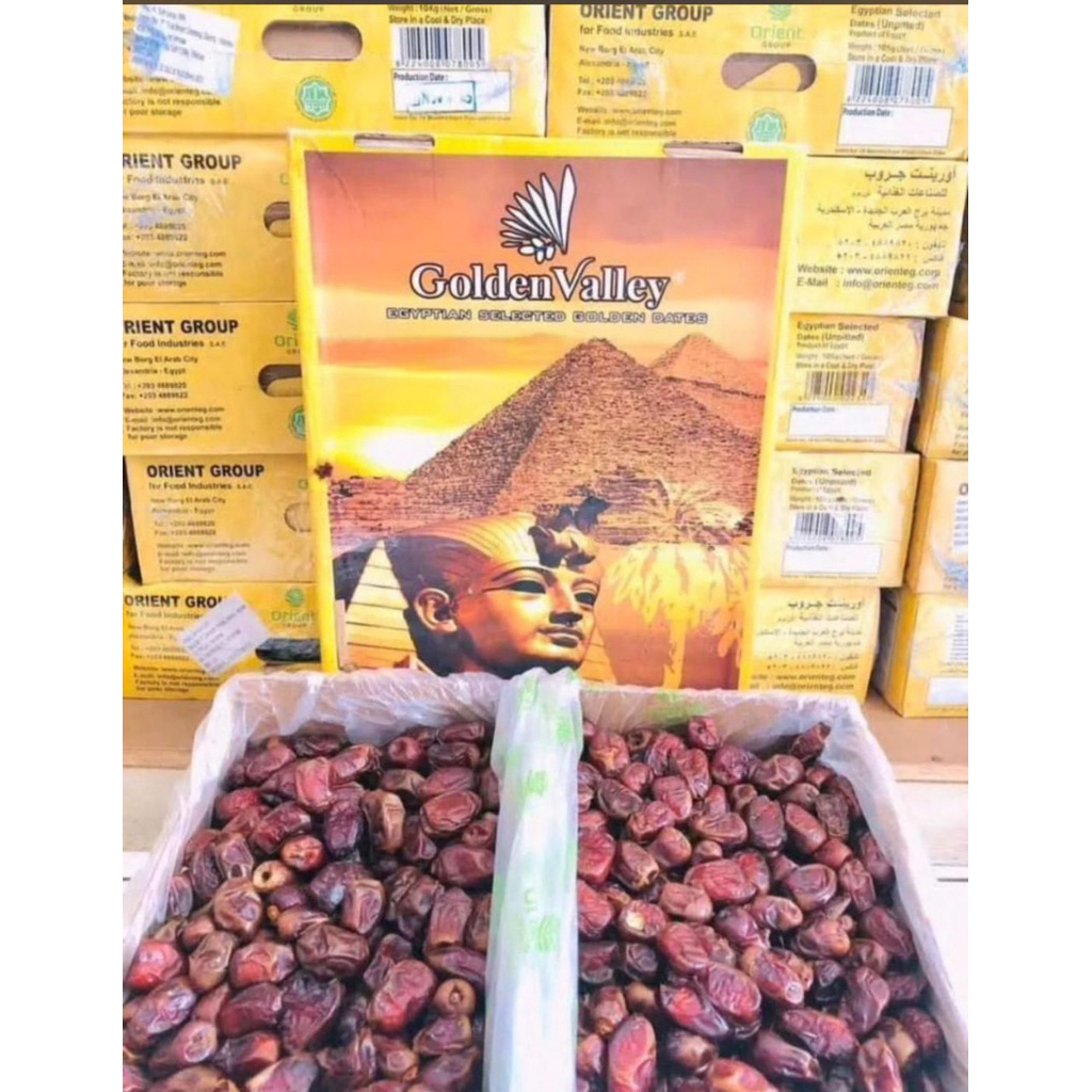 Kurma 10 kg/Golden Mesir/original/kurma murah