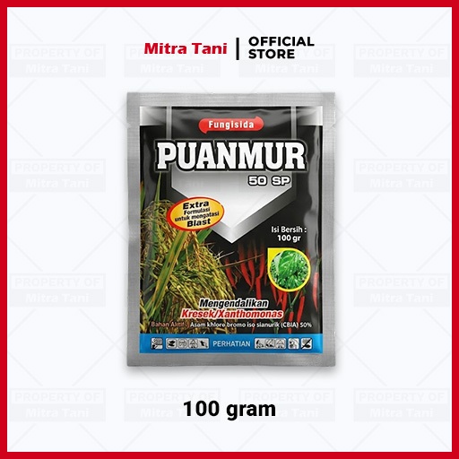 PUANMUR 50 SP Fungisida Bakterisida Obat Kresek dan Patah Leher Blas Original 100 Gram