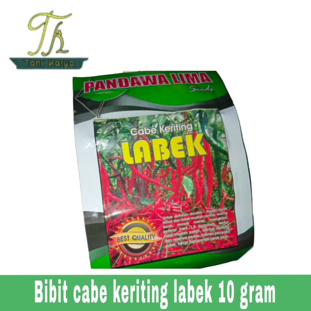 BIBIT CABE KERITING / BENIH CABE KERITING LABEK (PANDAWA LIMA)