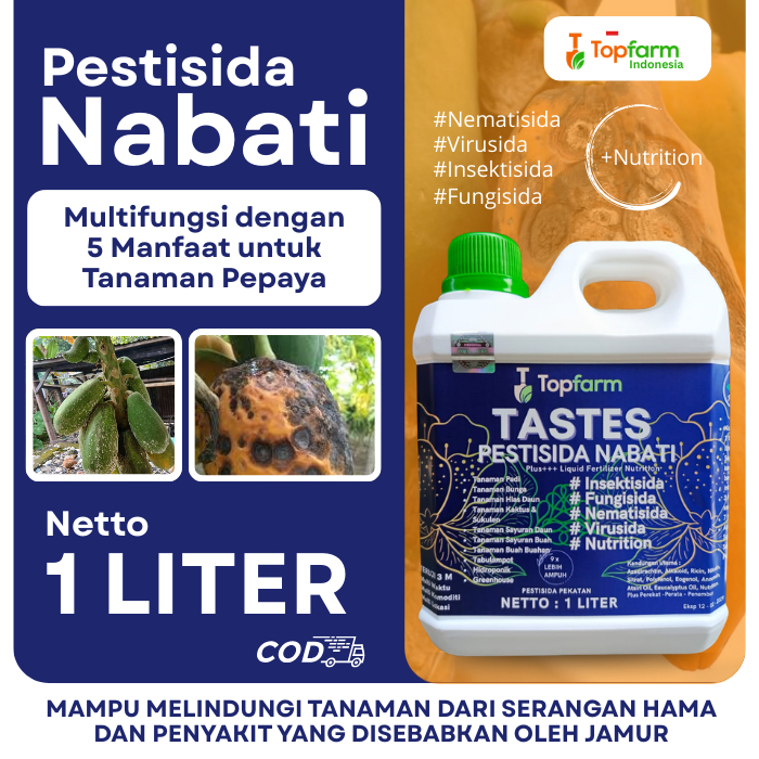 Pestisida Nabati Tastes Topfarm Untuk Tanaman Pepaya / Obat Basmi Hama Lalat Buah dan Kutu Putih / O
