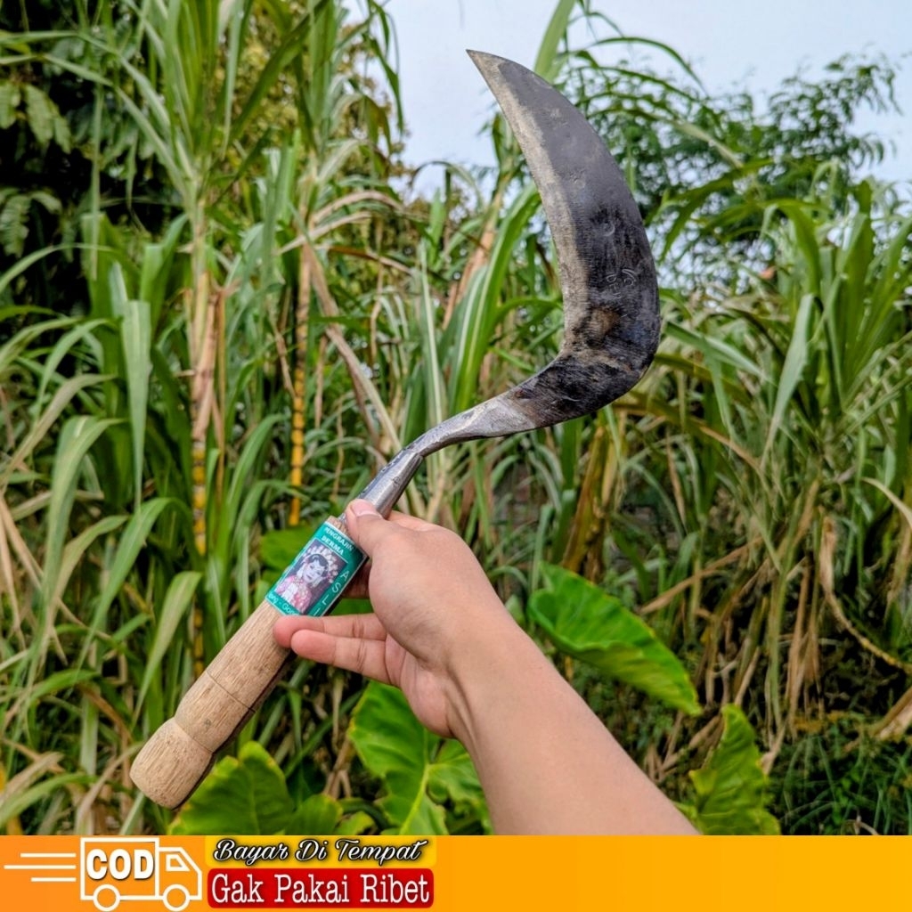 Alat Berkebun Khusus Arit Baja Super Tajam & Kuat Pemangkas Rumput Semak Belukar Sabit Padi Pengarit