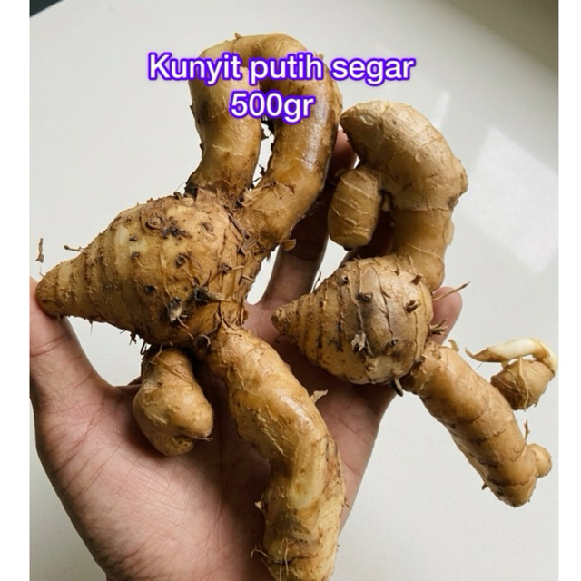 Kunyit Putih Segar 1kg Produk Berkualitas Tinggi dengan Kecombrang - Terbaik untuk Kesehatan dan Mas