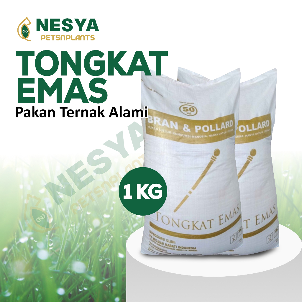 Pollard Tongkat Emas Kemasan 1kg Polar Pakan Sapi - Polar Pakan Kambing