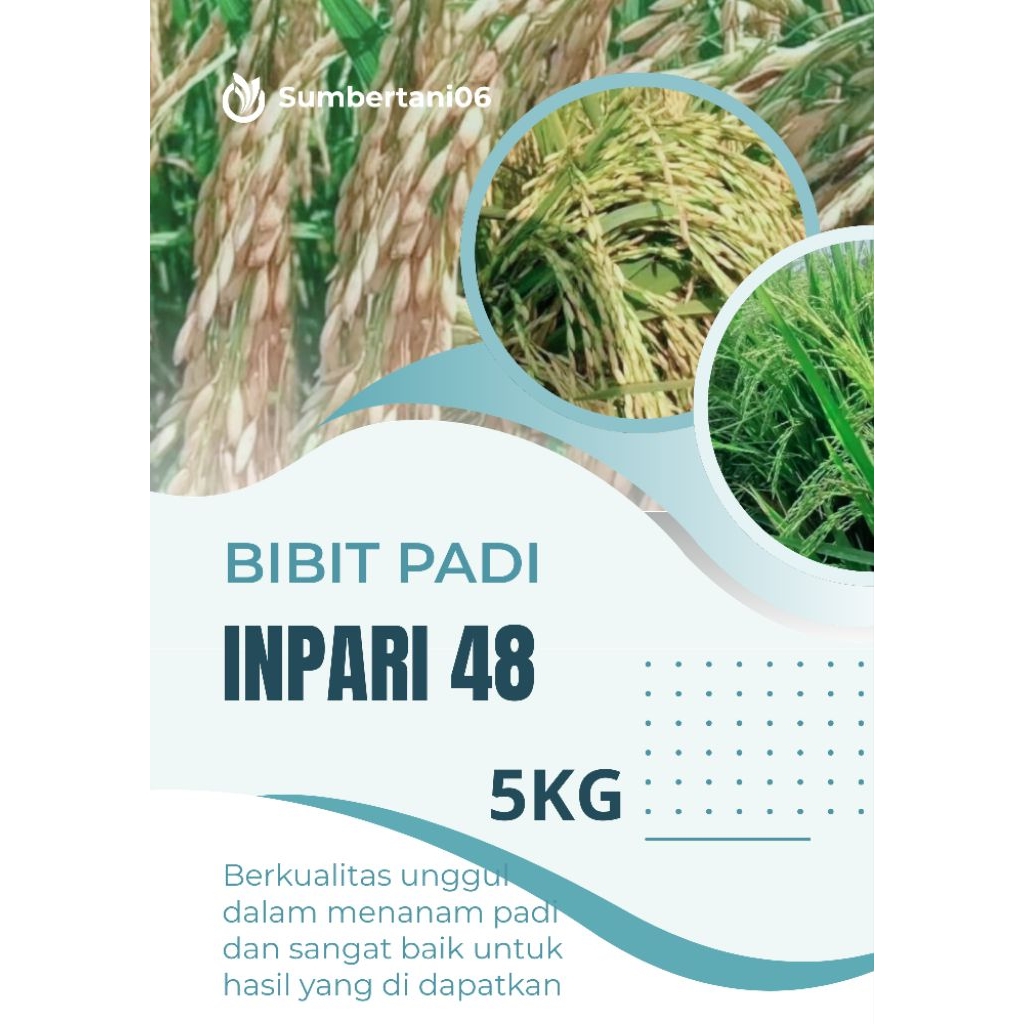 BIBIT PADI INPARI 48 KEMASAN (5KG) BERKUALITAS UNGGUL DAN TERPERCAYA