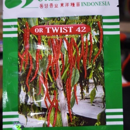 OR TWIST 42 Benih cabai merah keriting original