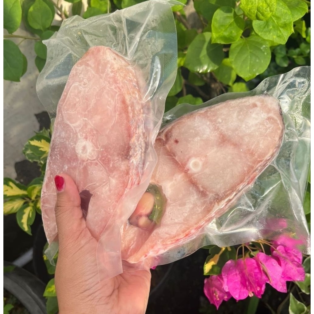 IKAN KAKAP POTONG SEGAR IKAN KAKAP