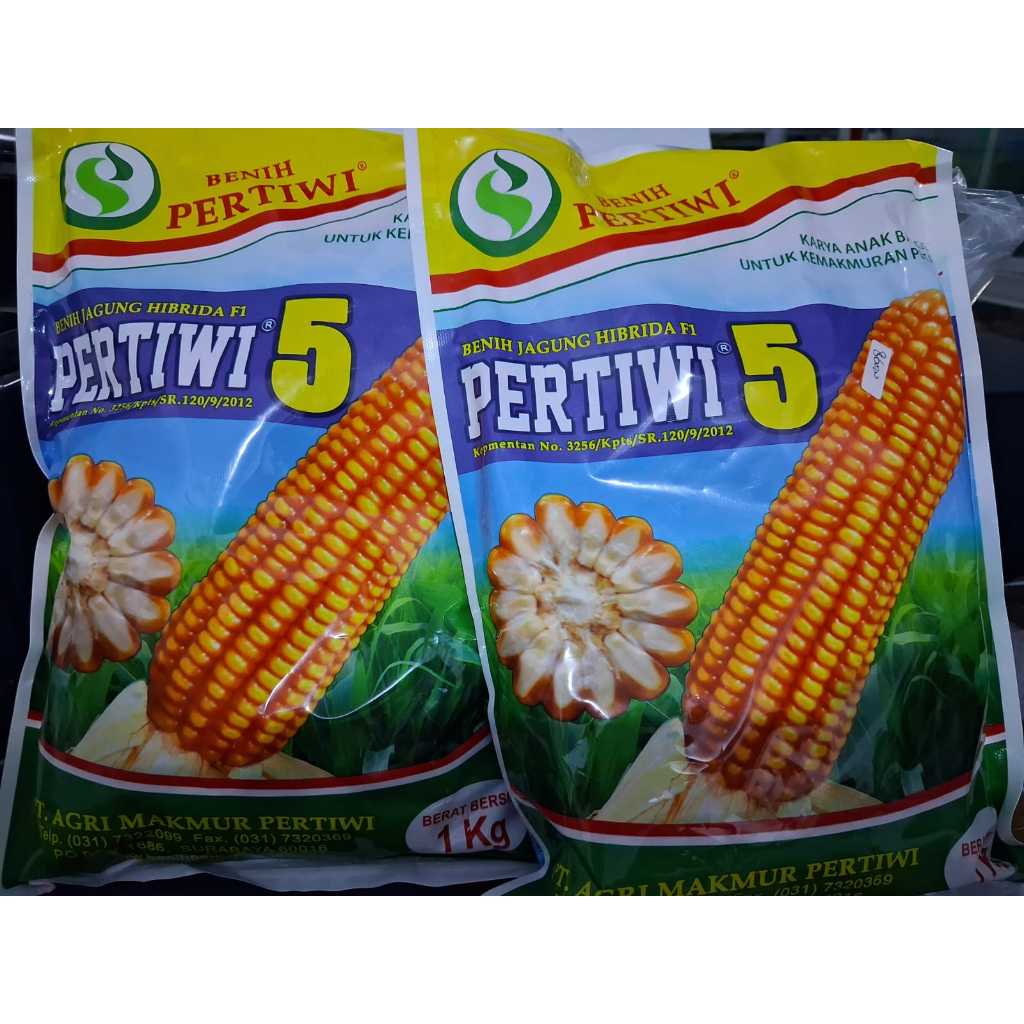 ORI benih unggul jagung hibrida Pertiwi 5 isi 1 kg