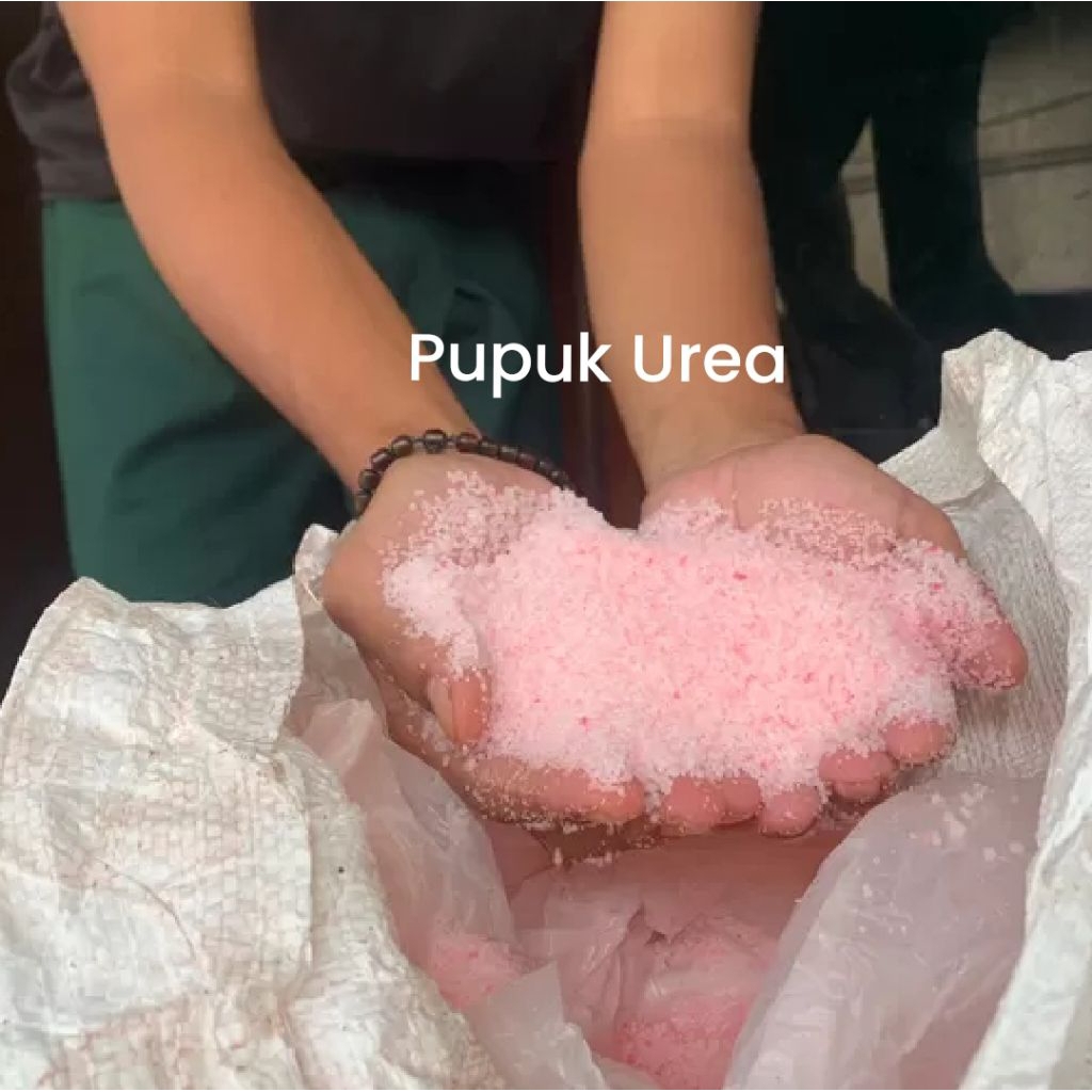 Pupuk Urea 10kg Nitrogen 46% Penyubur Tanaman