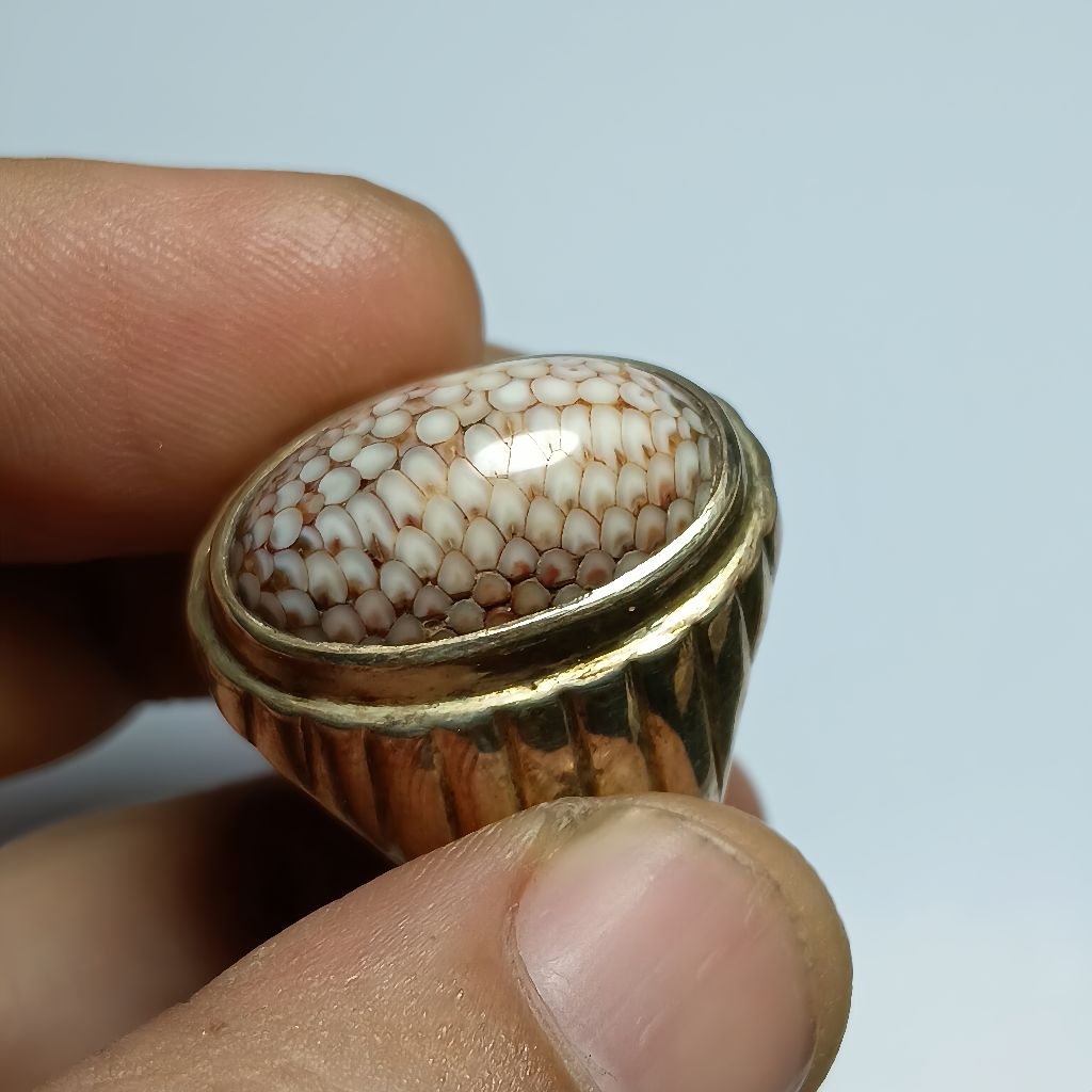 NATURAL SISIK ULAR (Sisik Merah Langka)