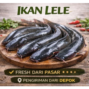 QEIRA Ikan Lele Segar Fresh Pasar Depok Kualitas Pilihan