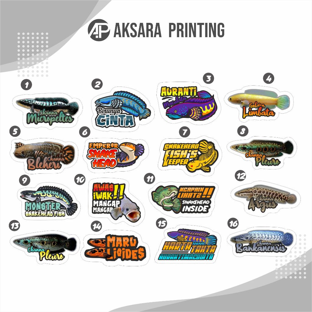 Stiker Setiker Untuk Aquarium Channa Snakehead (Terlengkap) Vol. 2