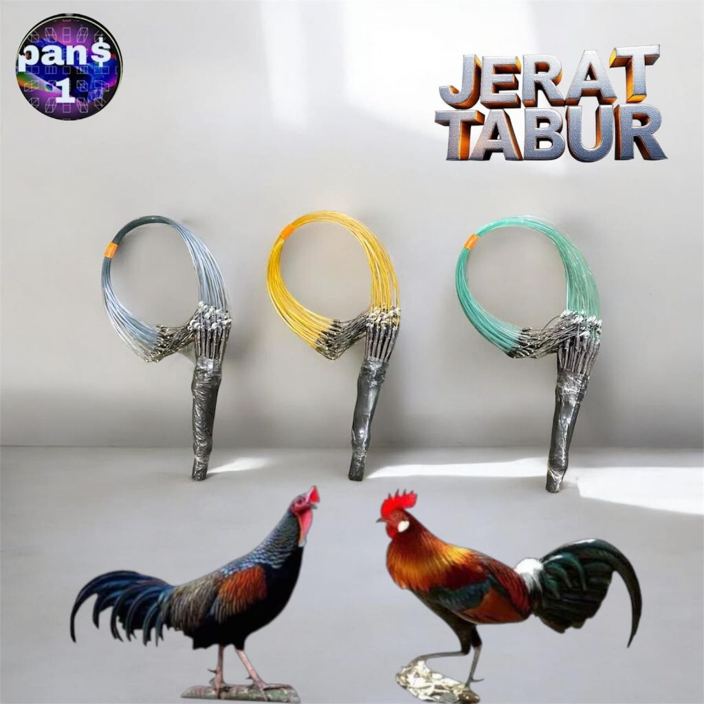 JERAT TABUR AYAM HUTAN