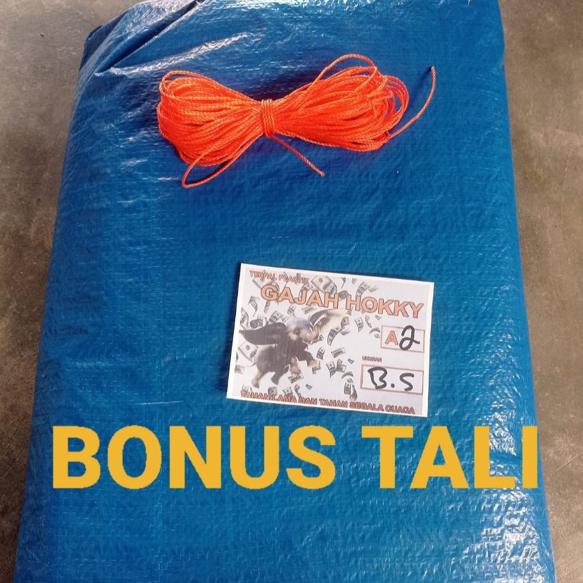 Terpal Tenda 3x5 Meter A2 Terpal Jemur Padi Terpal Kolam Ikan