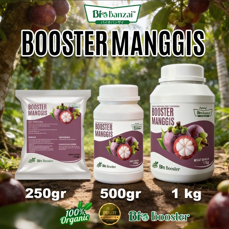 Booster Manggis pupuk organik pelebat pembesar dan pemanis buah manggis