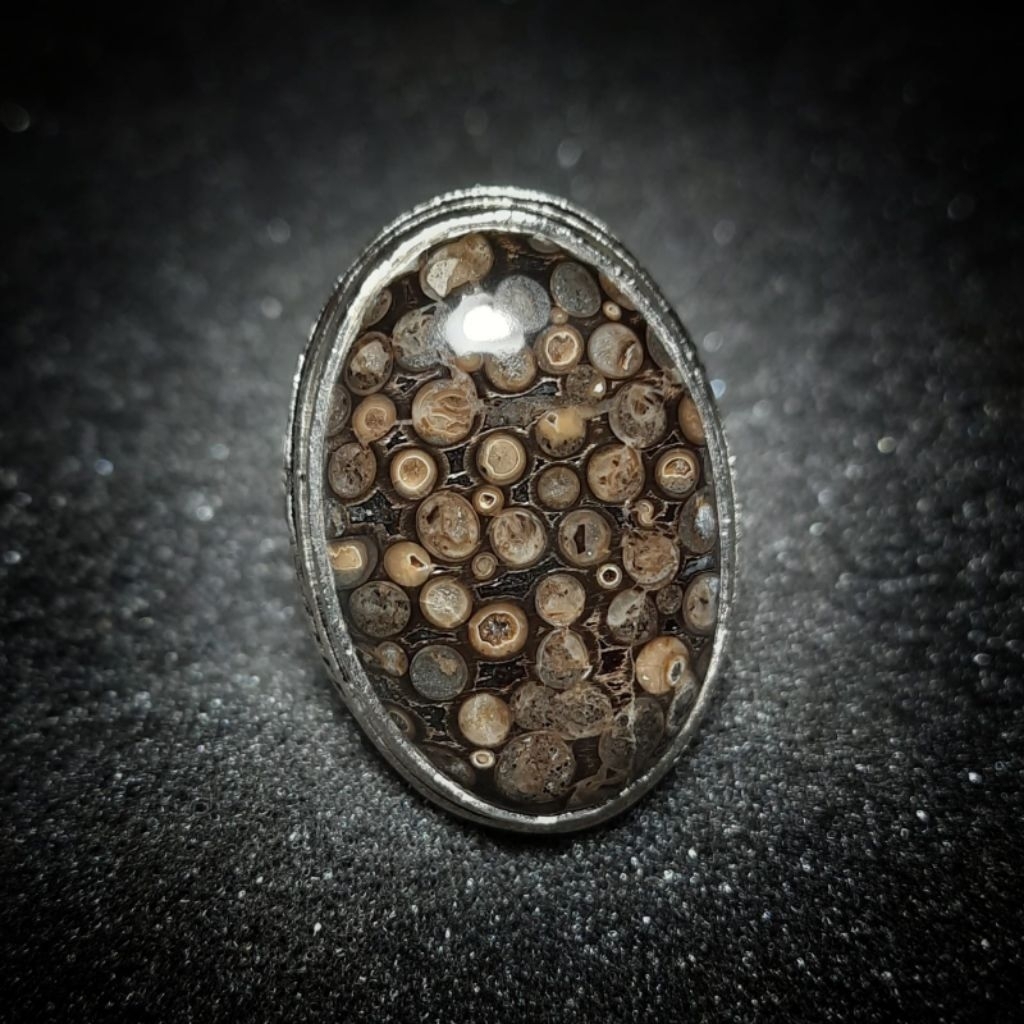 Batu akik kelor unik