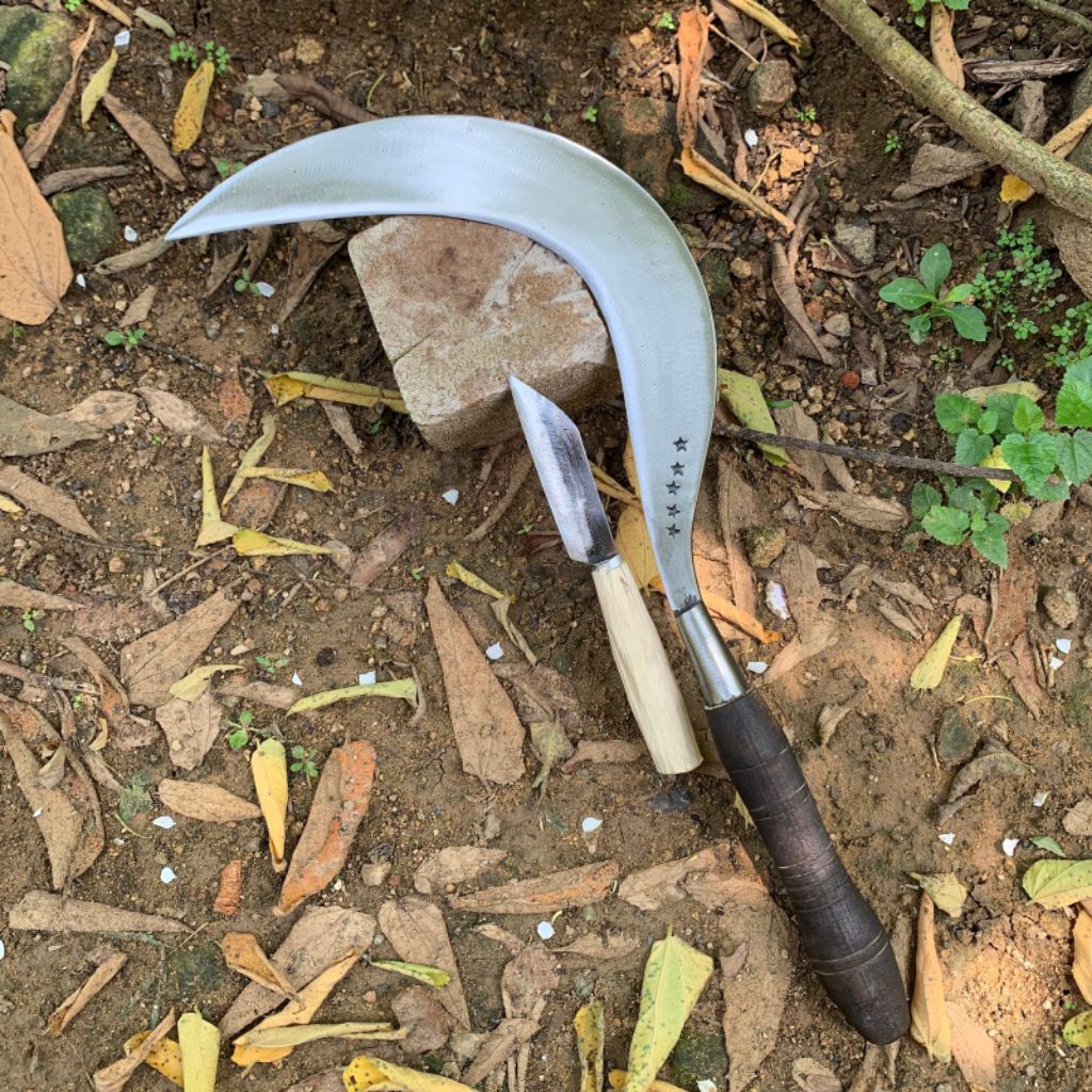 sabit rumput original cap bintang 5 khas Madura, siap pakai