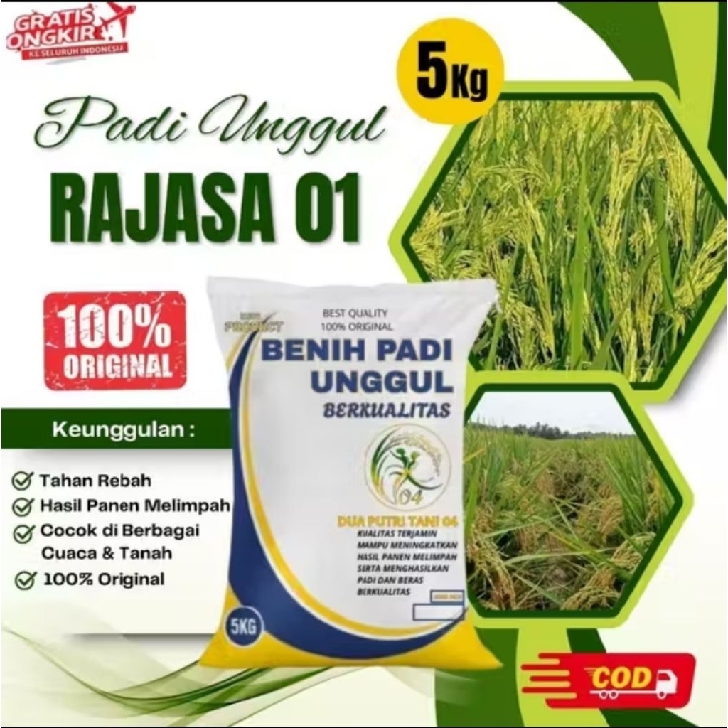 benih padi rajasa01 5kg