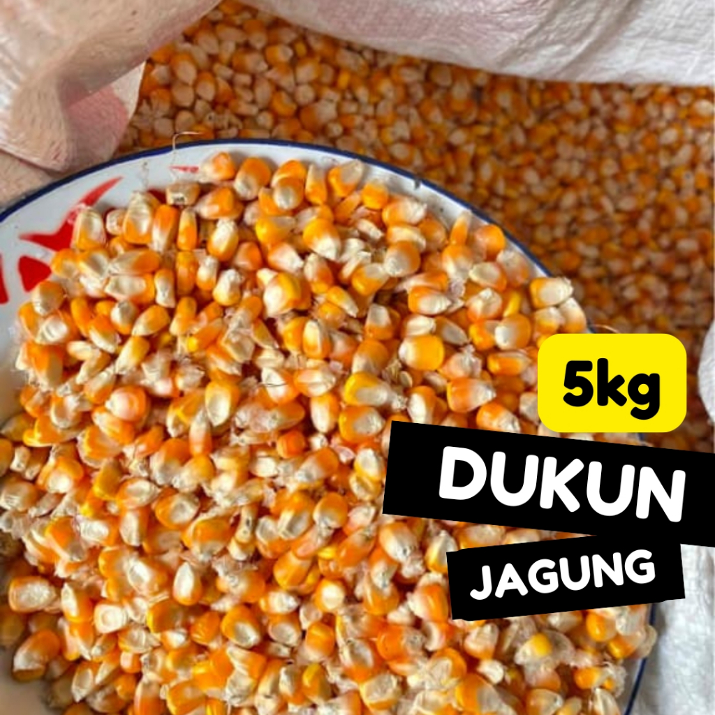 Jagung Pipil 5kg Bersih Kering Wangi Berkualitas