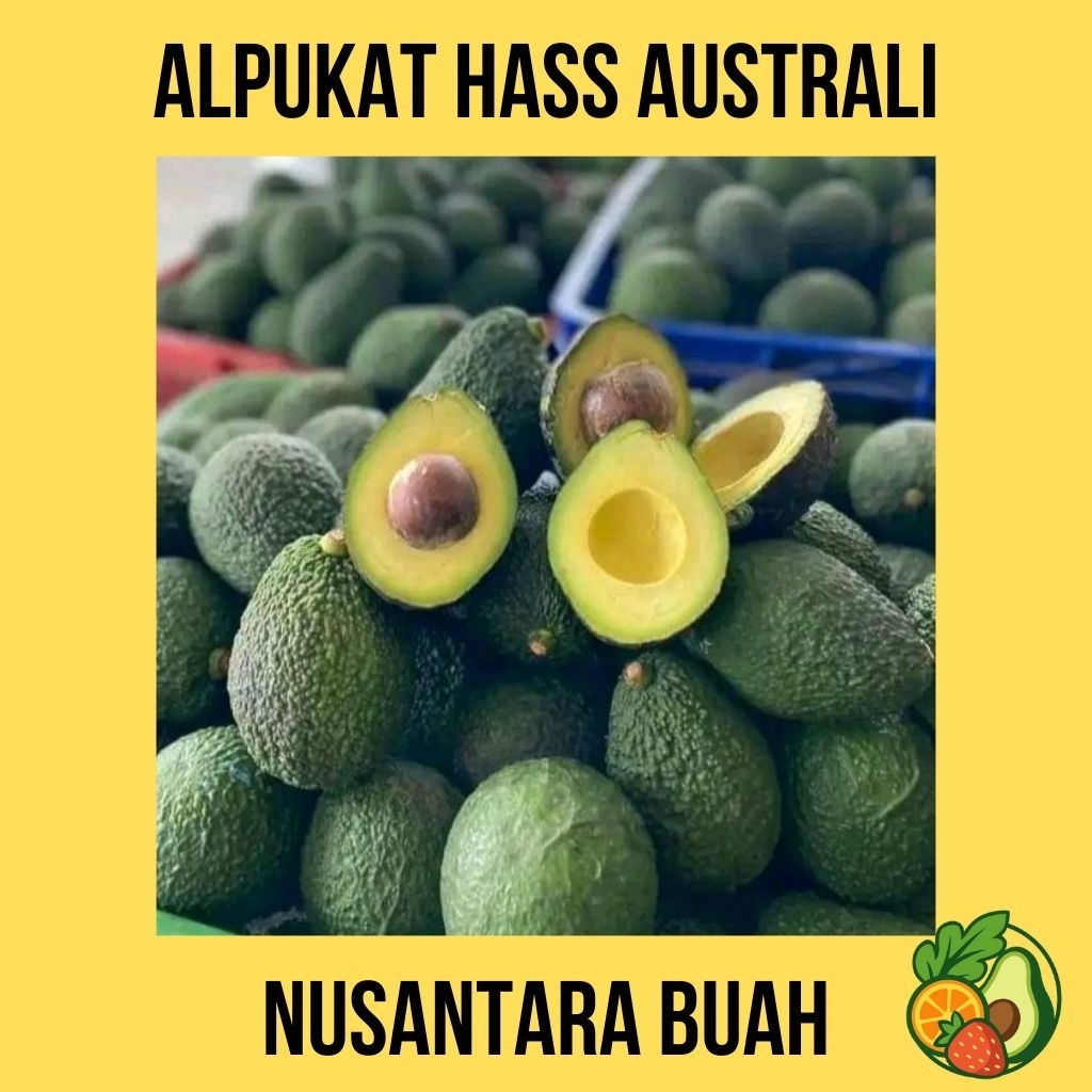 Alpukat Hass 1 Kg (Isi 5 - 10) – Lembut, Tidak Pahit, Cocok Jus & MPASI