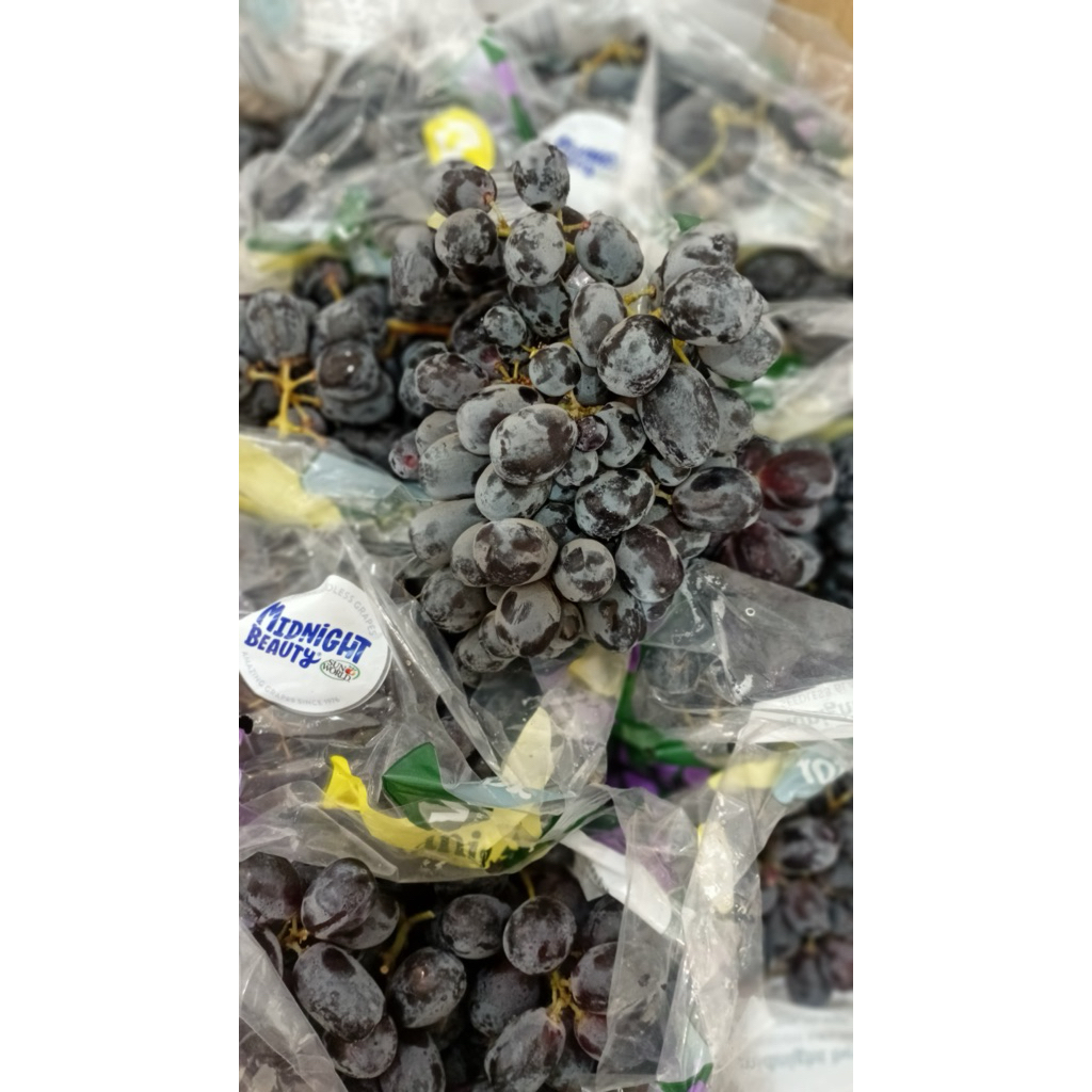 Anggur Hitam Midnight Beauty Manis Seedless