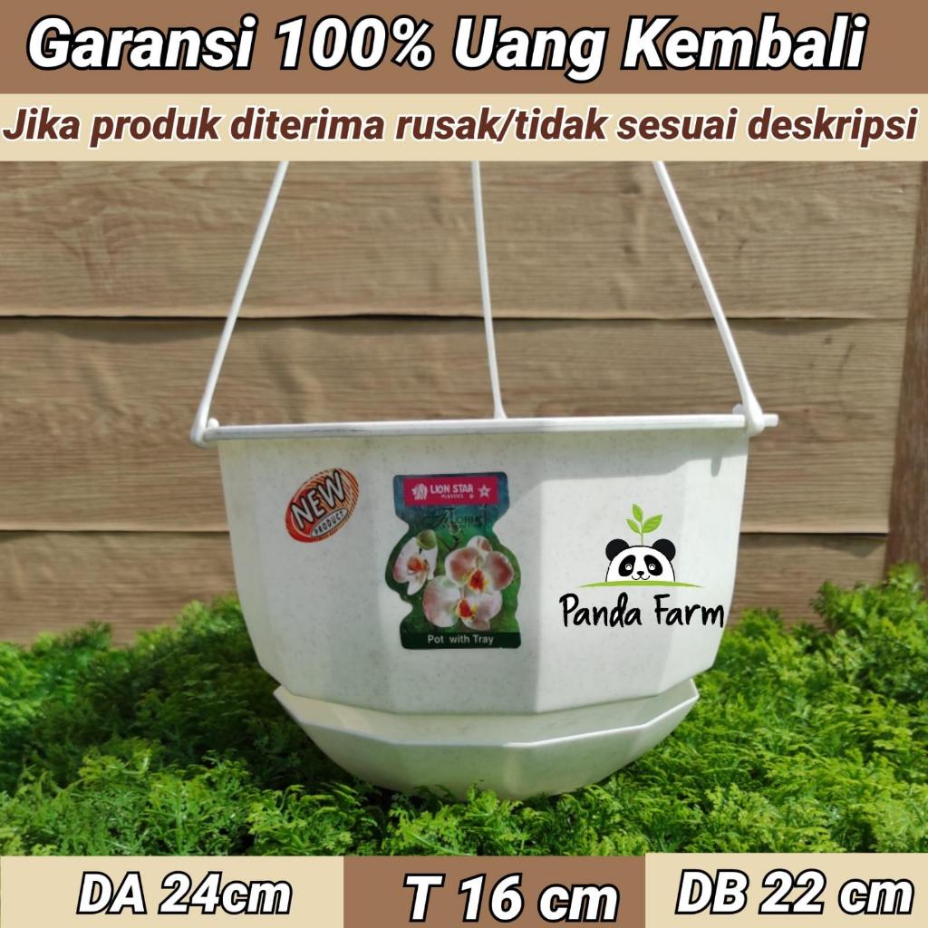 Pot Gantung Gardenia no 10 putih - Lion Star