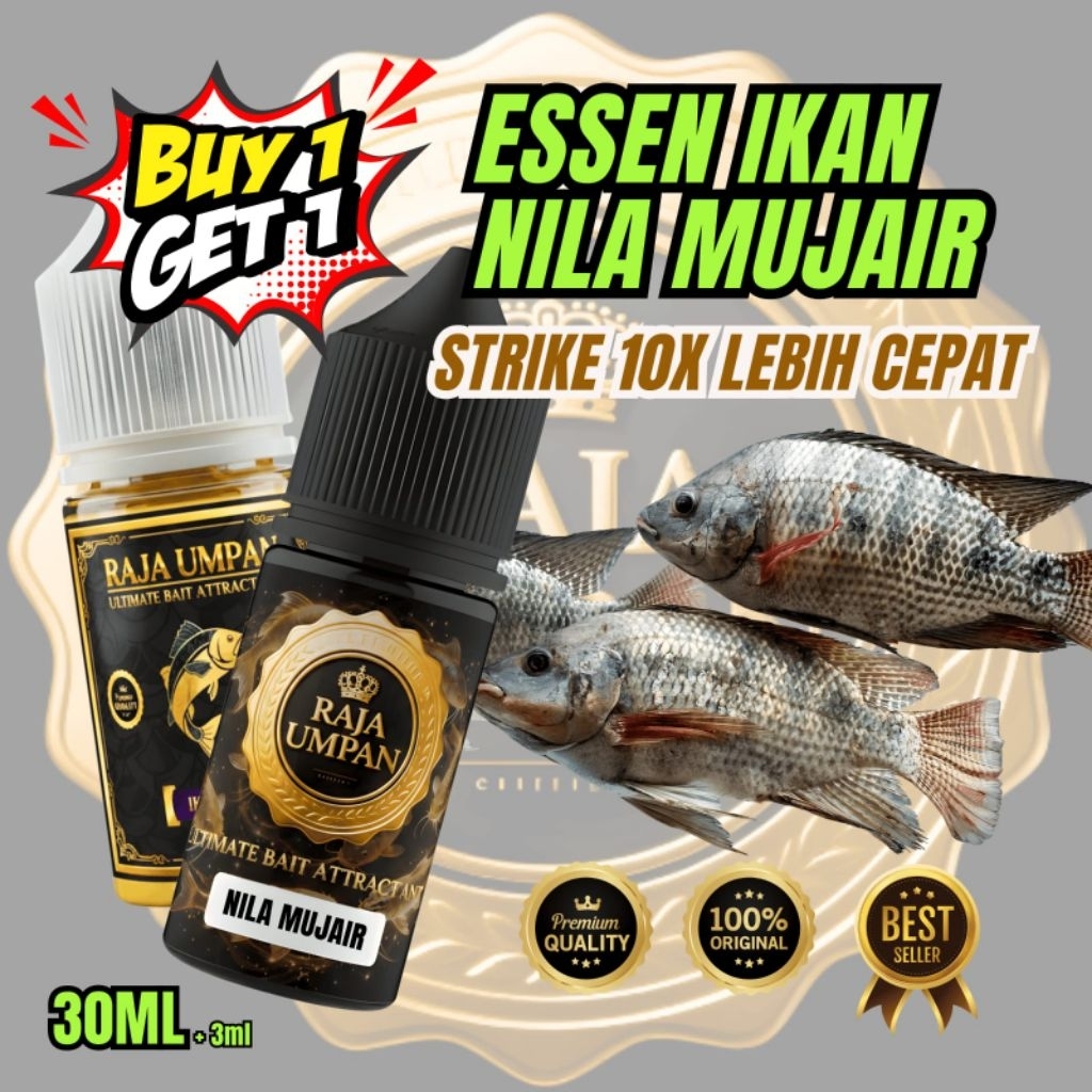 essen ikan nila mujair bibit media lumut liaran paling ampuh gacor 30ml