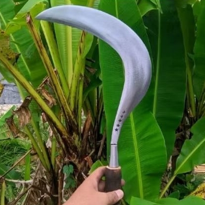 Sabit Rumput Baja Murni Bintang Lima - Tajam dan Tahan Lama