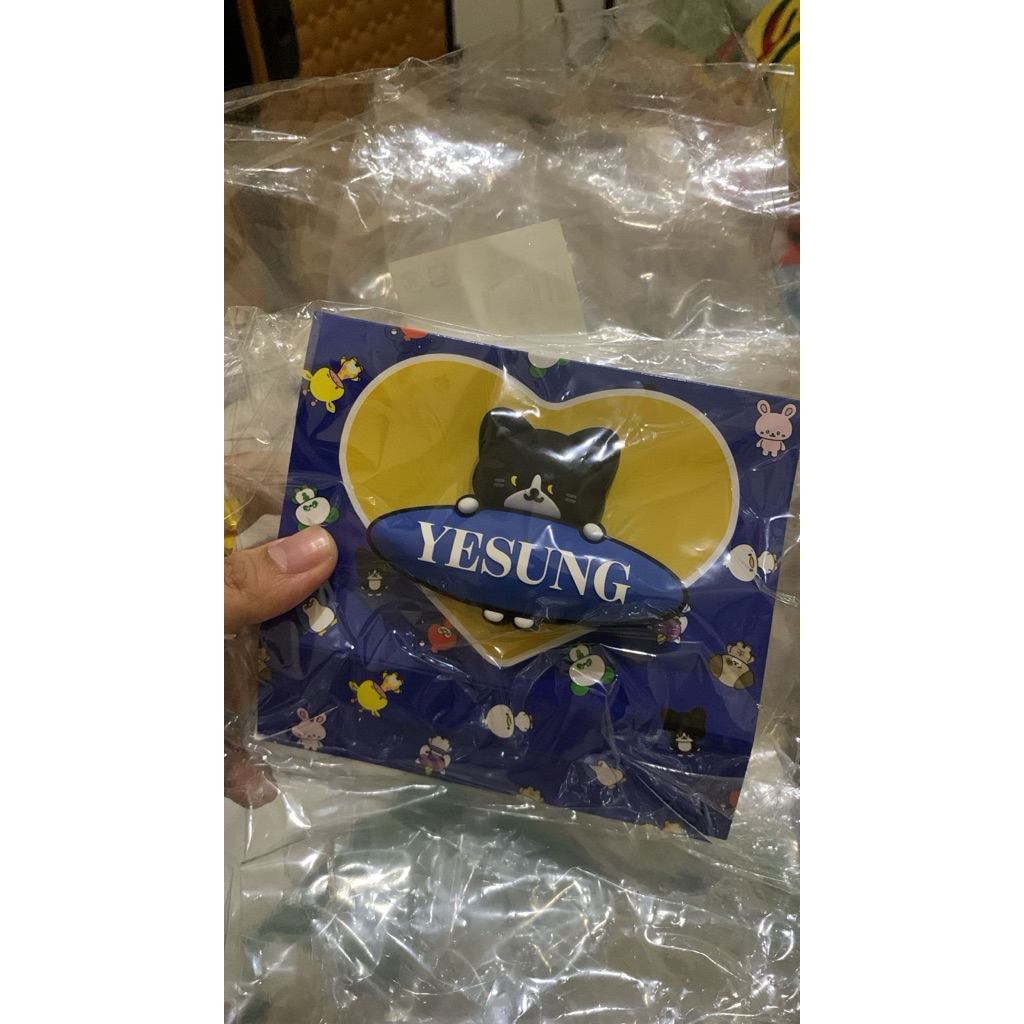 READY LS DECO SUPER JUNIOR YESUNG JAPAN MD