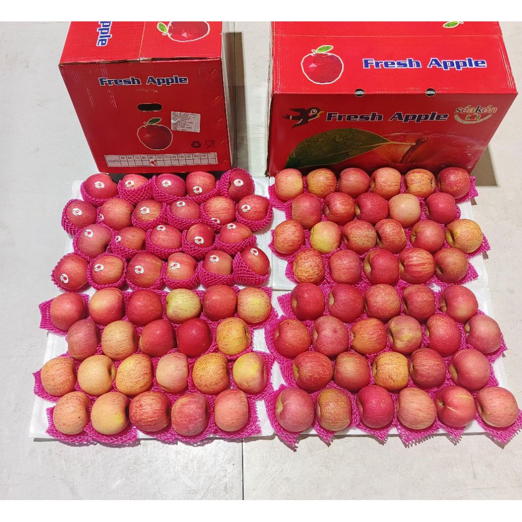 Buah Apel Fuji 17kg