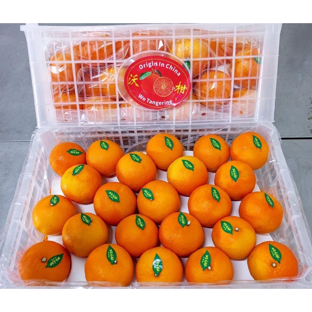 Indukbuah Buah Jeruk Mandarin Wogan 1 Keranjang ±7kg
