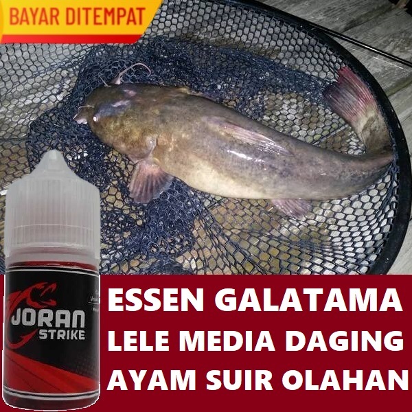 ESSEN GALATAMA LELE MEDIA DAGING AYAM SUIR KEPALA AYAM OLAHAN ISI 30ML