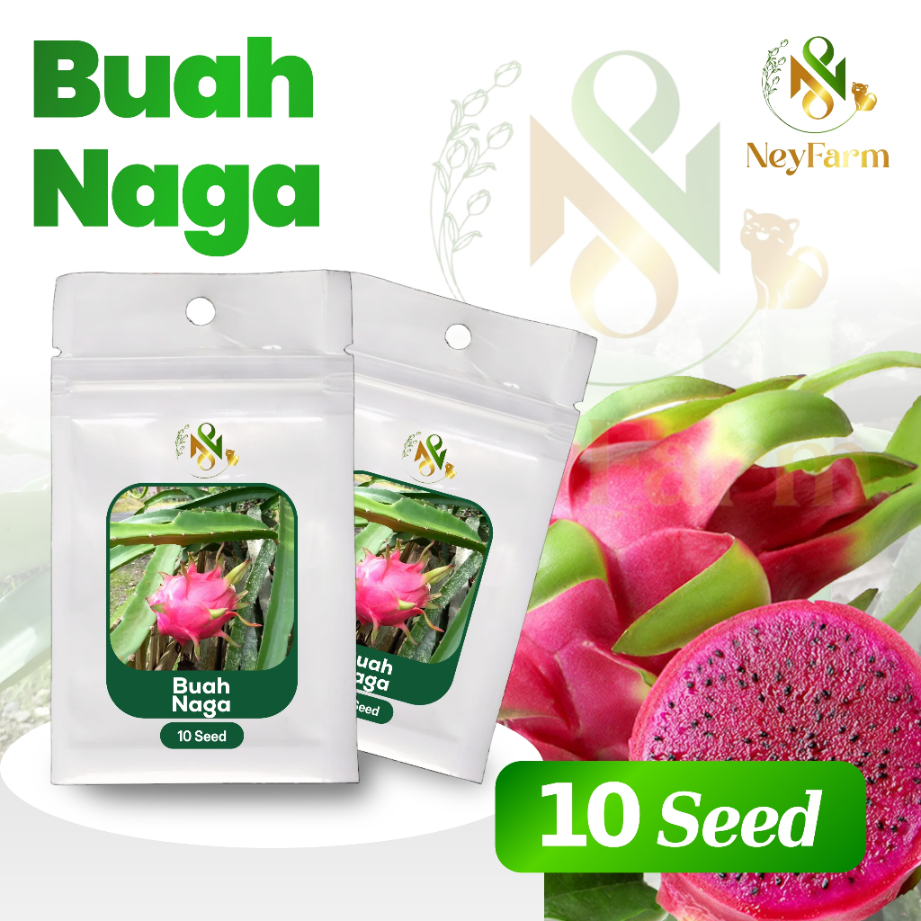 Benih Buah Naga Merah Fruit Dragon Benih Biji Buah Naga 10 Biji