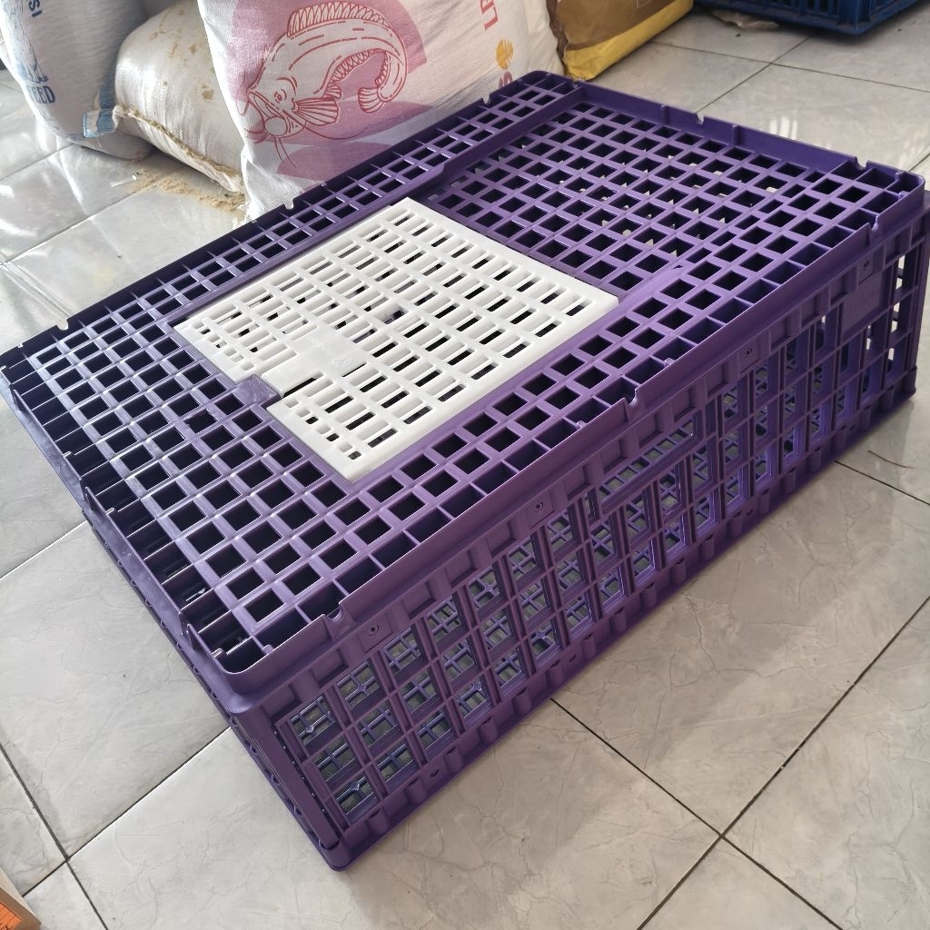Keranjang ayam Kecil Medion WARNA UNGU