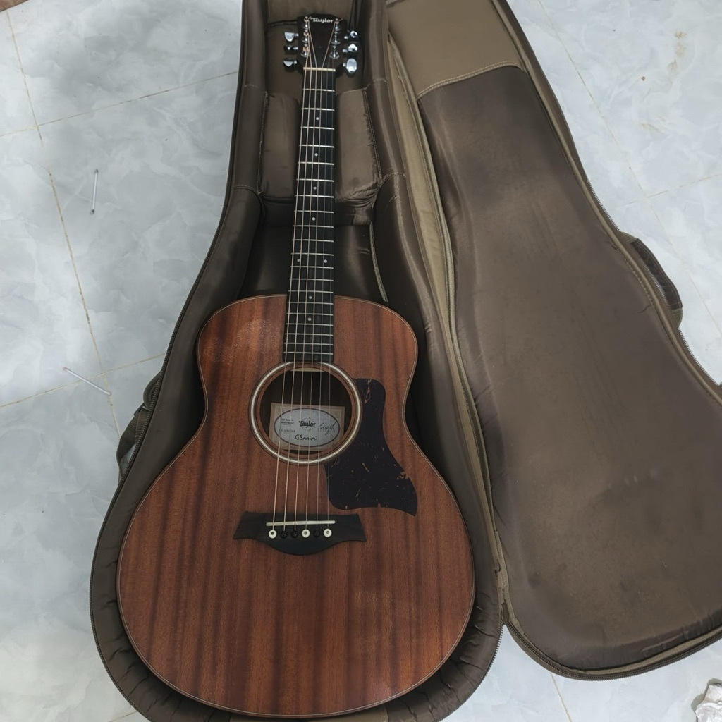 Taylor gs mini mahogani