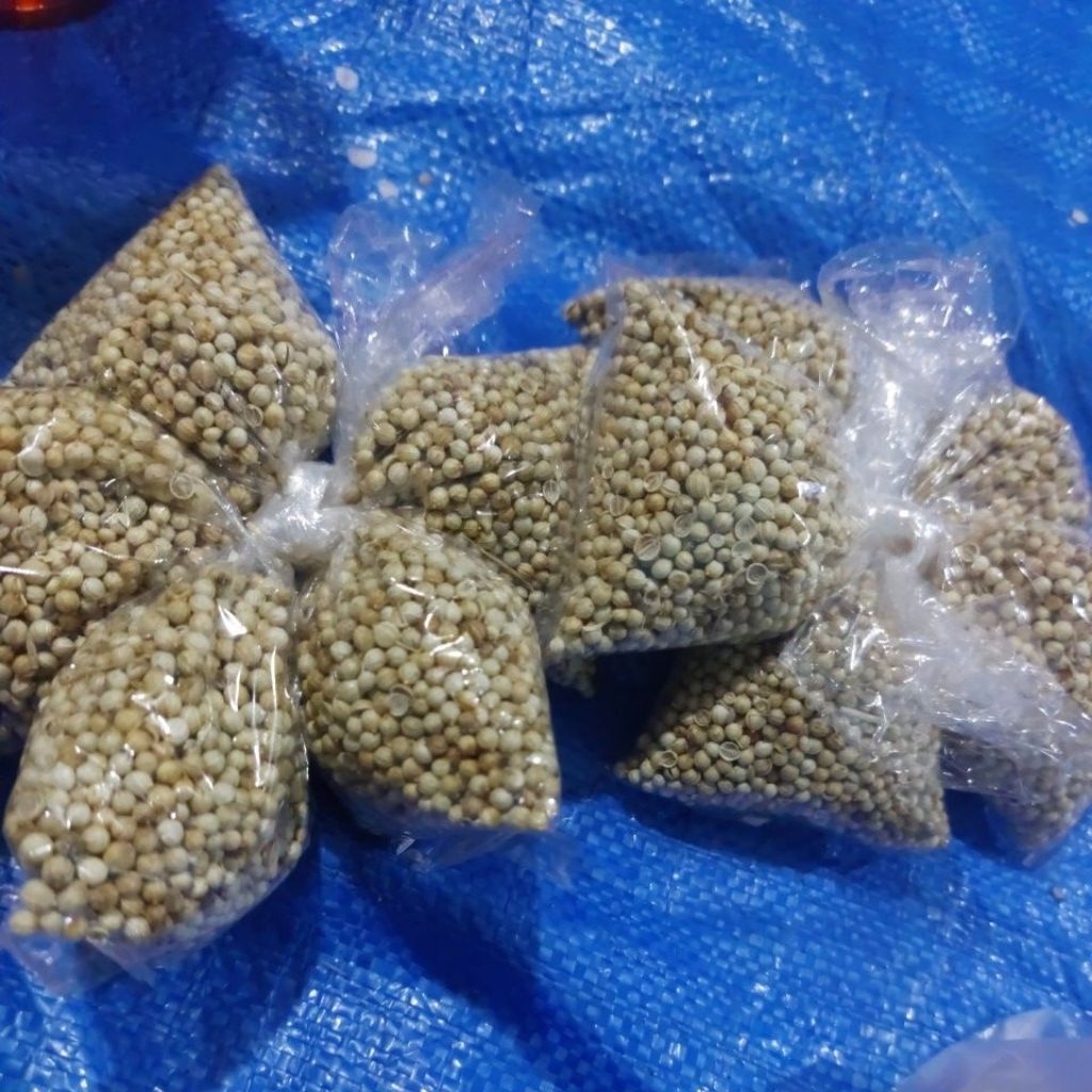 Bumbu Renceng - Ketumbar 10 pcs