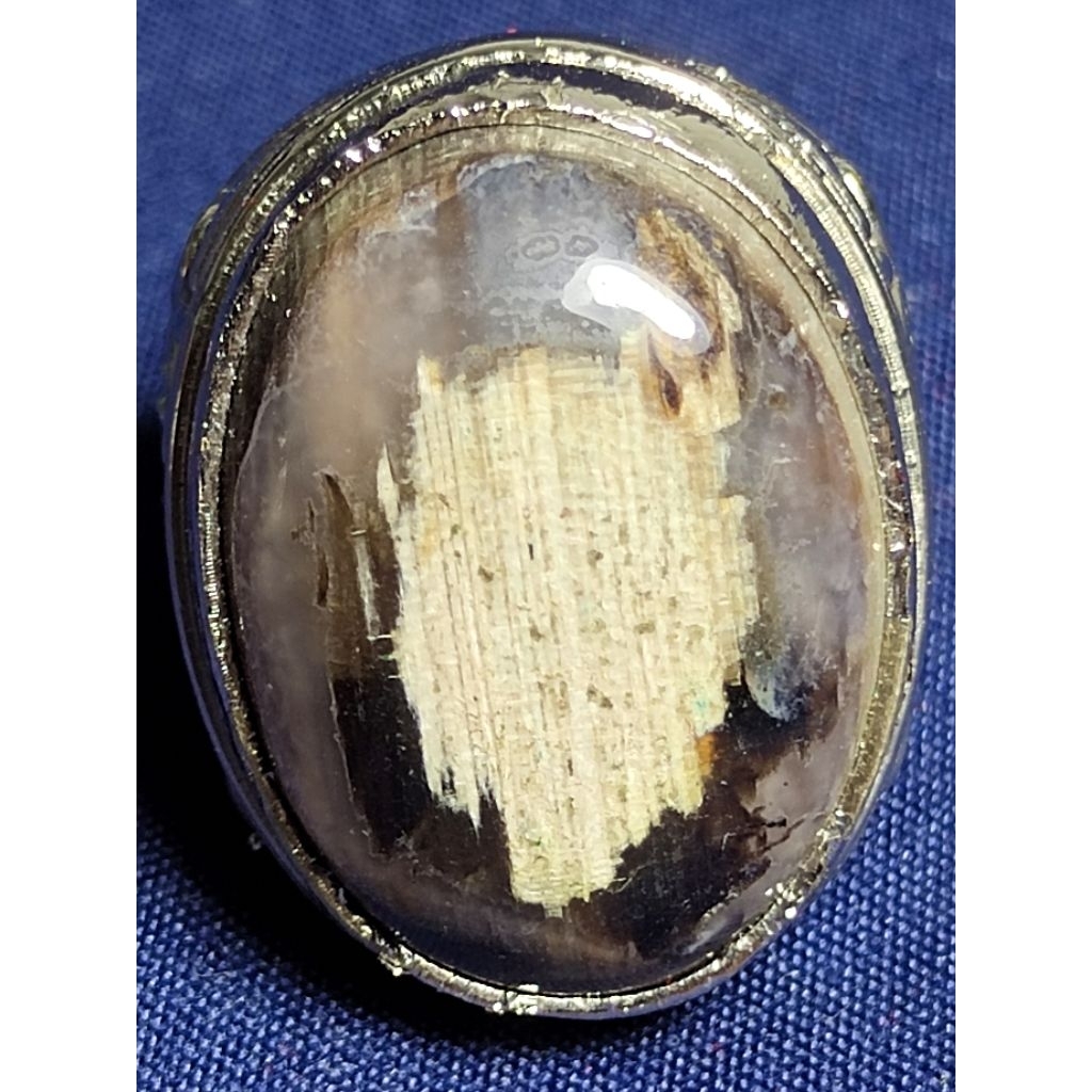 Natural Kelor Petrified Wood, CRYSTAL / Batu Fosil Kayu Kelor, KRISTAL
