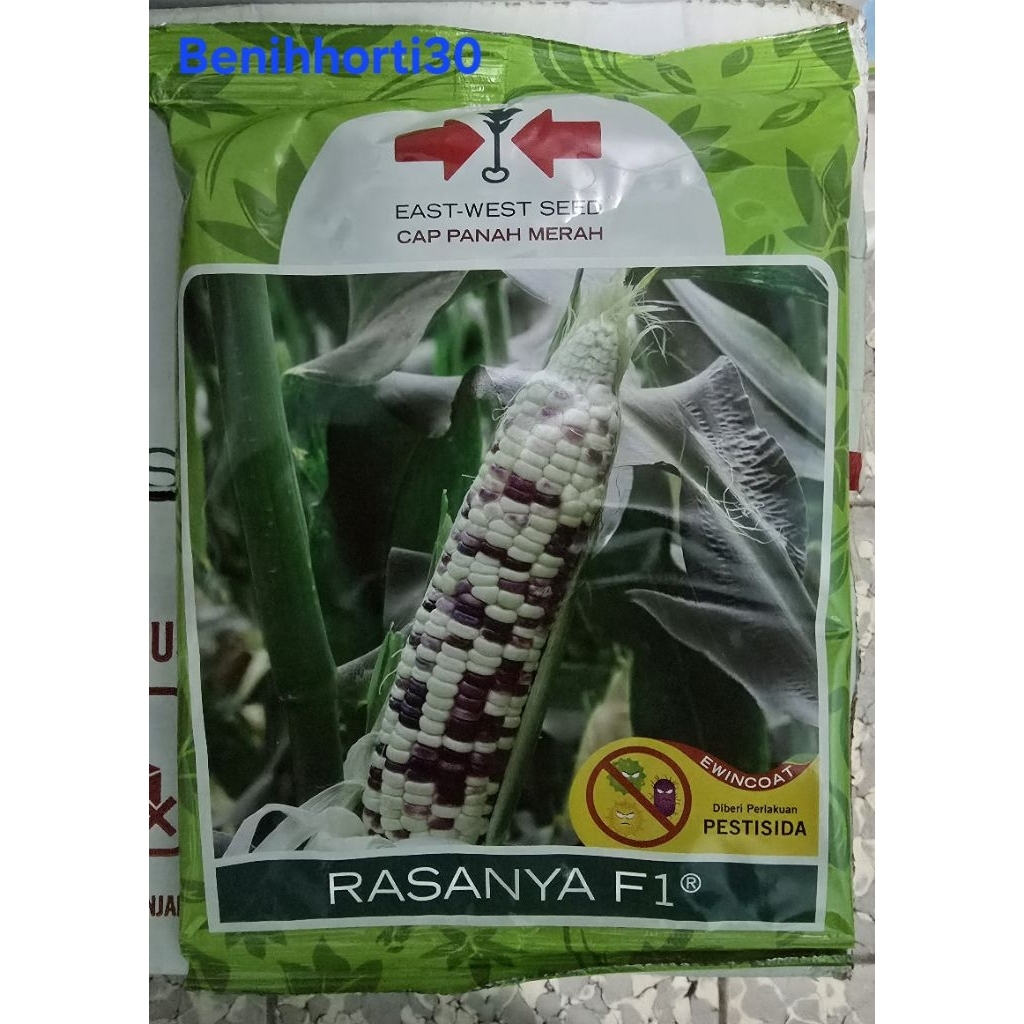 Benih Jagung Pulut Rasanya F1 isi 250 gram