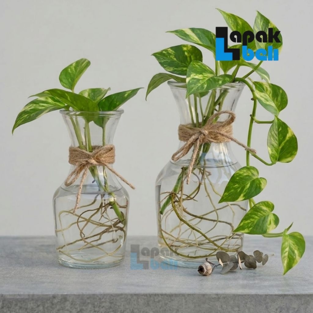 Vas Bunga Kaca / Vas Bunga Karaf / Vas Bunga Bening / Pot Tanaman Artifisial Hidroponik Estetik