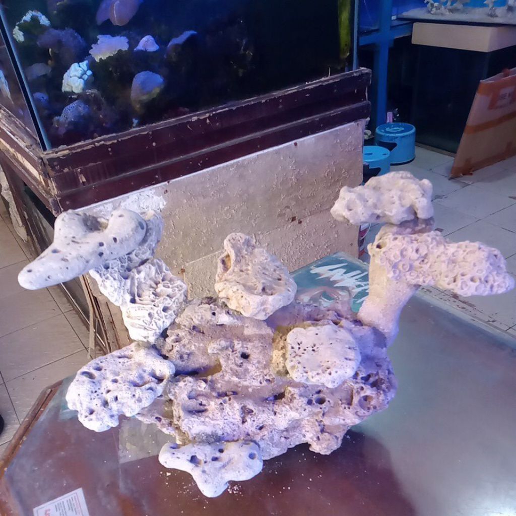 Scaping Deadrock/Batu Karang Rangkai