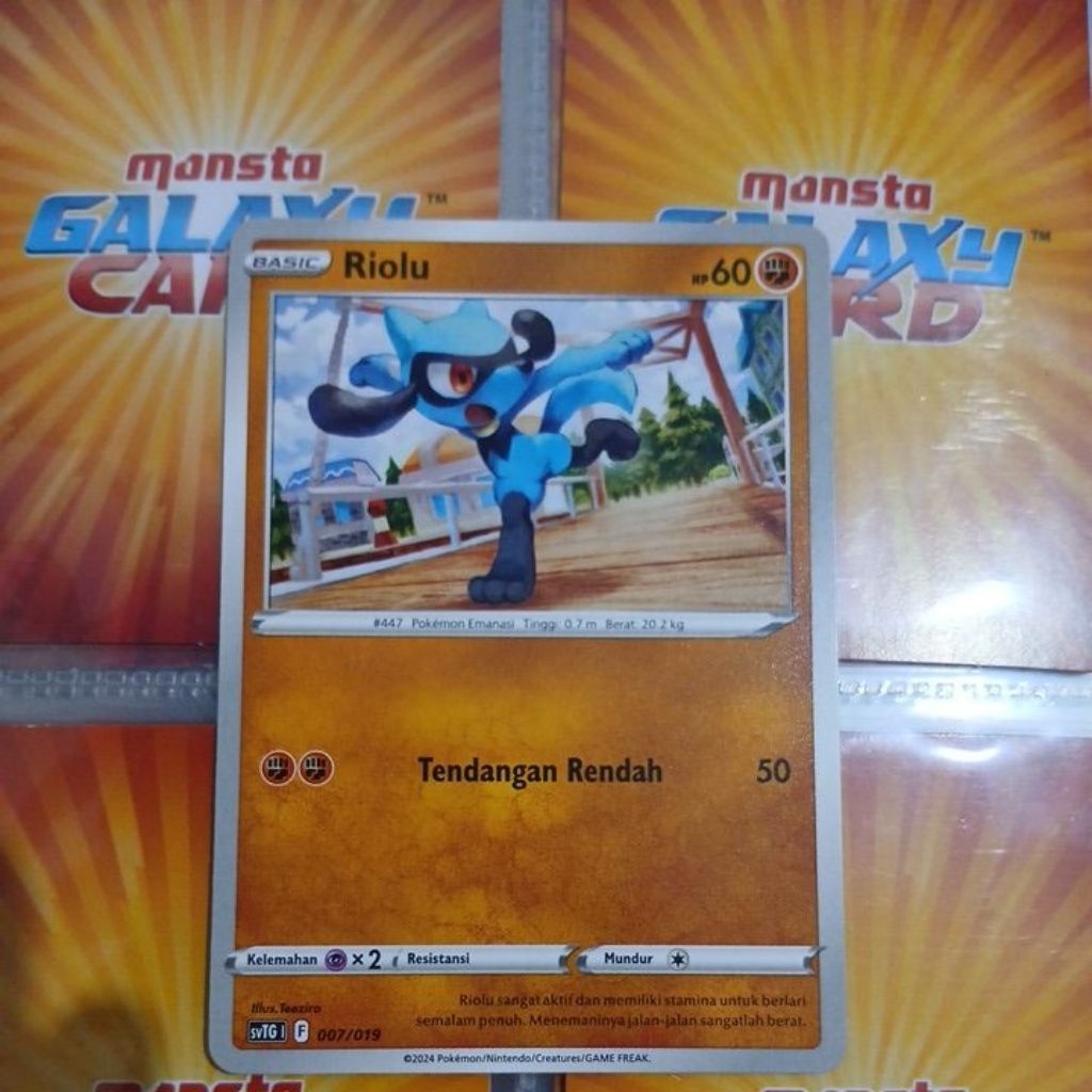 tcg pokemon indonesia