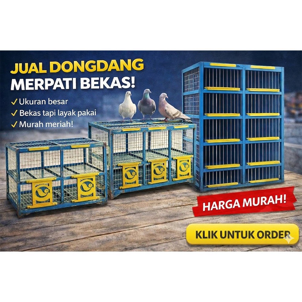 Kandang Merpati Dongdang Lepas second