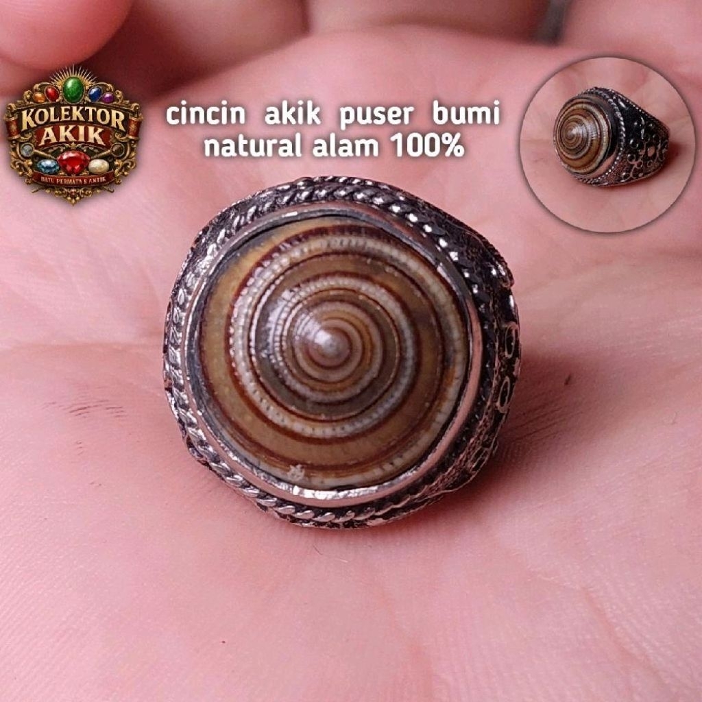 cincin puser bumi asli cangkang keong 100% cincin unik terlaris pria wanita