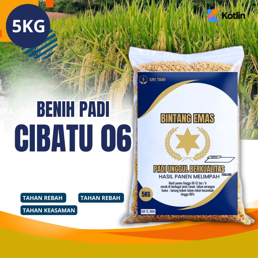 BENIH PADI CIBATU 06