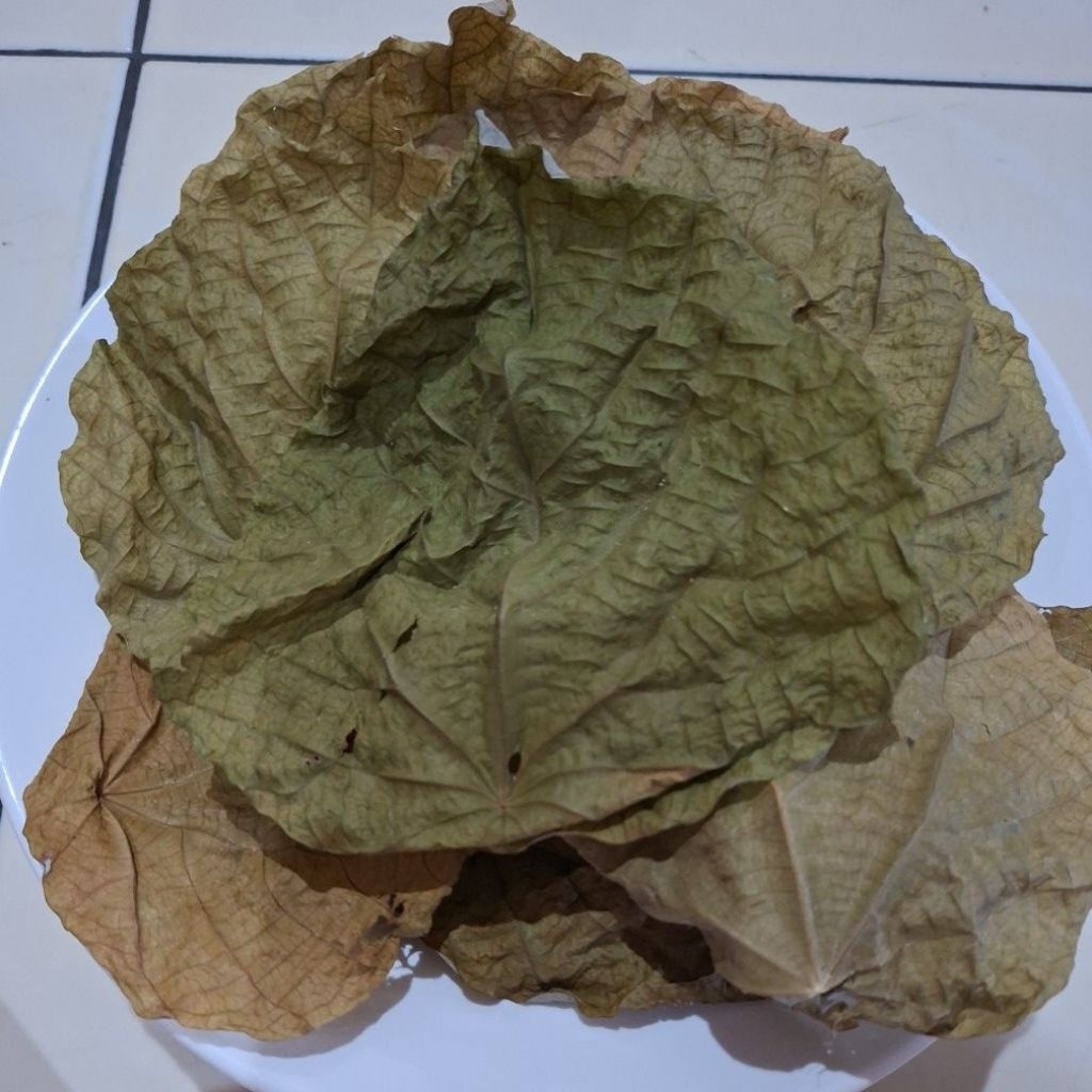 DAUN PAT KHUA / PAT KUA / PAK KUA / PAK KHUA / PAKKHUA ORIGINAL KERING