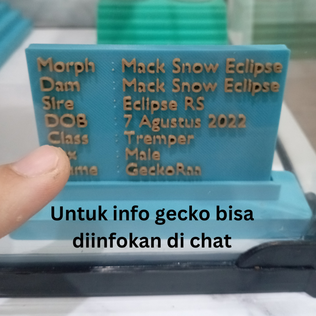 Data Gecko Stand Model Berdiri Custom Reptil AFT