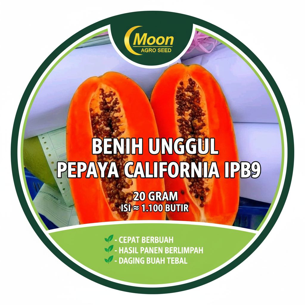 benih/bibit unggul pepaya California IPB-9 berkualitas